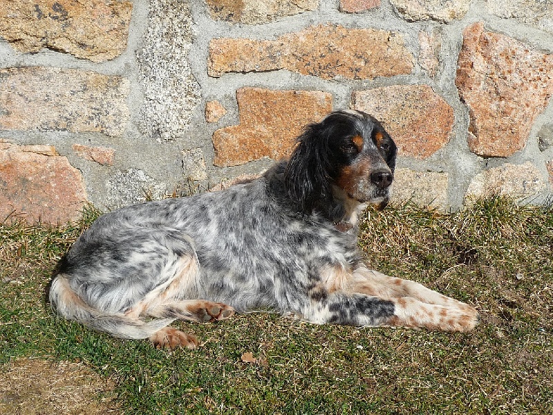 Réha Du poulit san danis